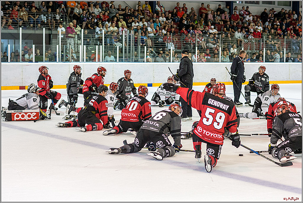 1. offizielles Training der Koelner Haie, 05.08.2018